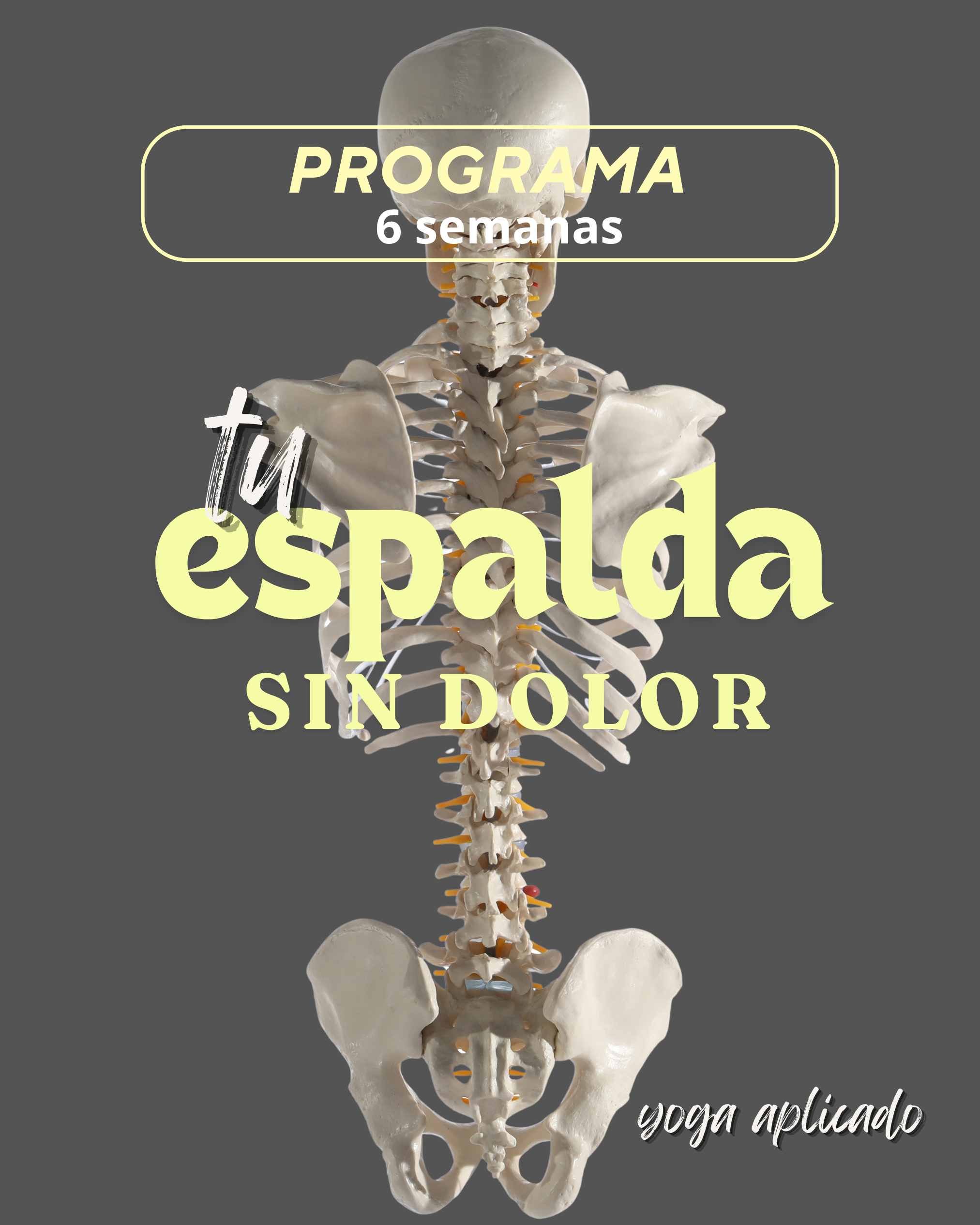 Espalda sin dolor: cómo cuidar tu espalda con movimiento consciente